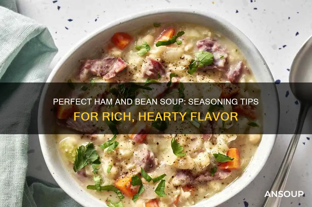 Unlock Rich Flavor: Expert Tips for Delicious Ham and Bean Soup